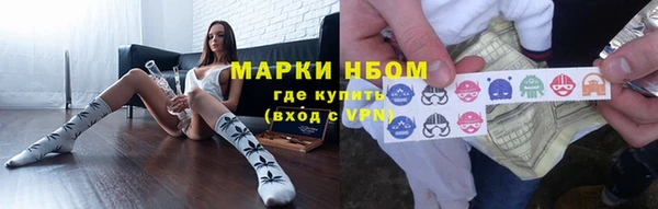 сатива Лабытнанги