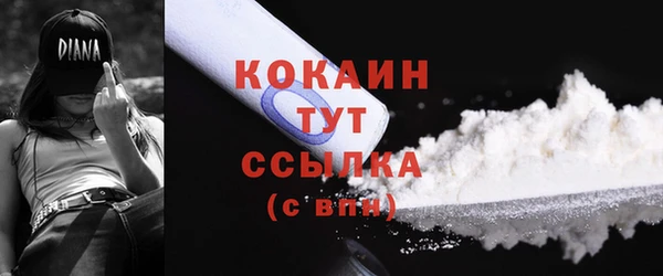 мдпв Лагань