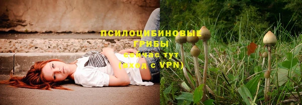2c-b Ладушкин