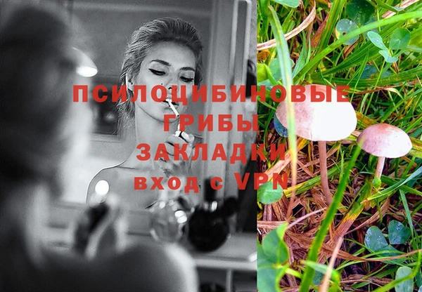 2c-b Ладушкин