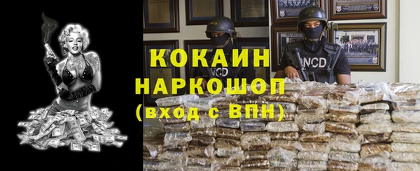 сатива Лабытнанги