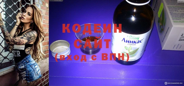 сатива Лабытнанги