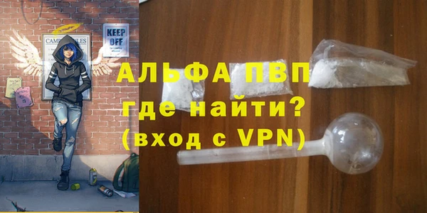 сатива Лабытнанги