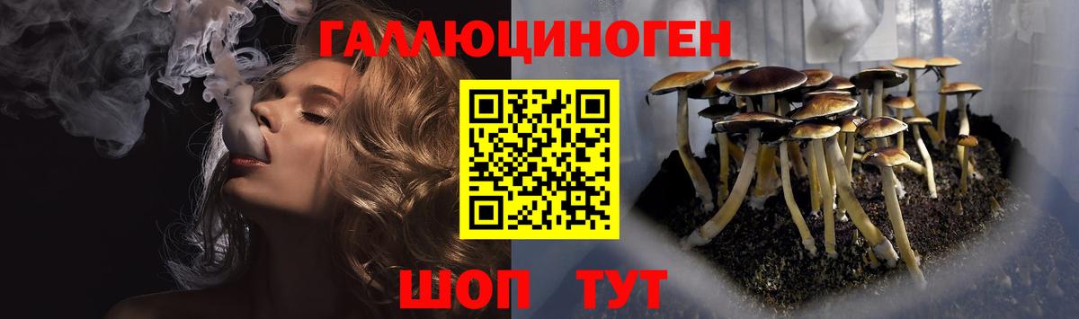 Красный Сулин  Галлюциногенные грибы Magic Shrooms  Вход с VPN 