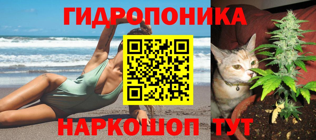 Бошки марихуана семена  МАРИХУАНА план  Вход с VPN  Марихуана Amnesia  Красный Сулин 